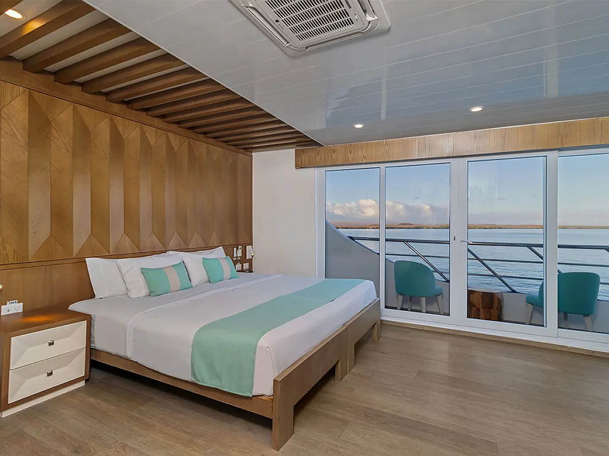 Power Cat - Endemic Cabin